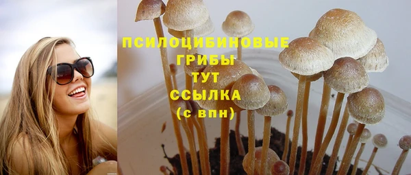 трава Няндома