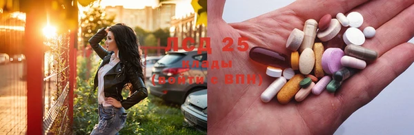 трава Няндома
