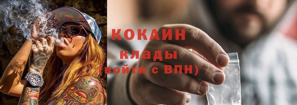 трава Няндома
