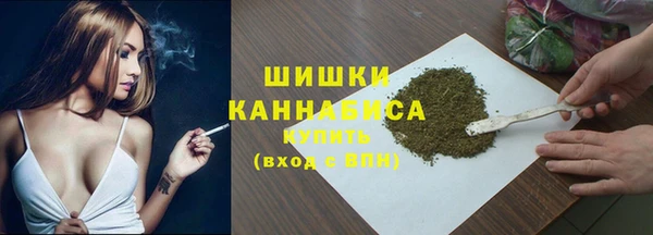 трава Няндома
