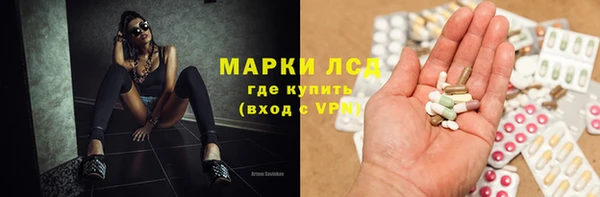 трава Няндома