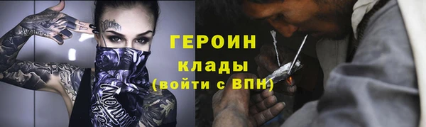 трава Няндома