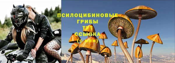 трава Няндома